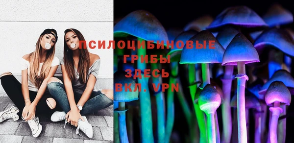 дмт Алексеевка
