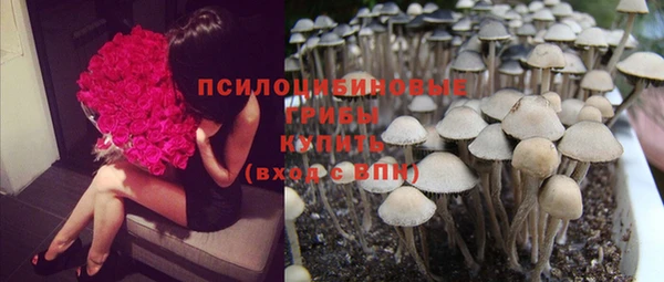 дмт Алексеевка